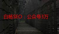 白杨SEO：公众号3万粉丝怎么样？为什么说现在是流量为王？