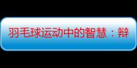 羽毛球运动中的智慧：辩证法的奥秘