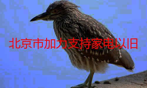 北京市加力支持家电以旧换新 购8类家电每件最高补贴2000元