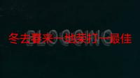 冬去春来一地荣打一最佳准确生肖数字,成语解释巧妙落实