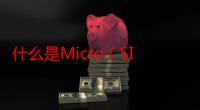 什么是Micro（SIM卡）