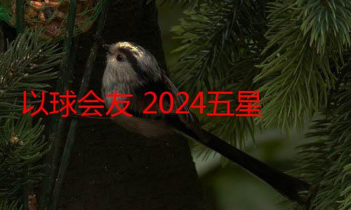 以球会友 2024五星国际名校挑战赛在沪落幕