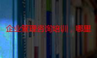 企业管理咨询培训，哪里可以学企业管理培训（智华培训管理有限公司）