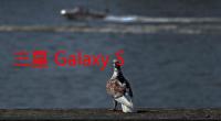 三星 Galaxy S21 FE 是移动设备市场的下一个重大发布