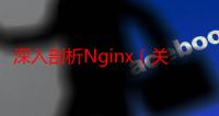 深入剖析Nginx（关于深入剖析Nginx介绍）