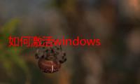 如何激活windows（xp）