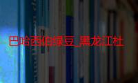 巴哈西伯绿豆_黑龙江杜尔伯特有什么好吃的推荐嘛-美食特产