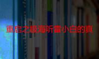 重启之极海听雷小白的真实身份（重启之极海听雷简介）