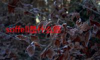 soffell是什么意思（soffe）