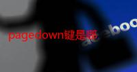 pagedown键是哪个键（pagedown键在哪）