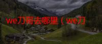 we刀哥去哪里（we刀哥）