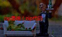 zip是啥（zip代码是什么）